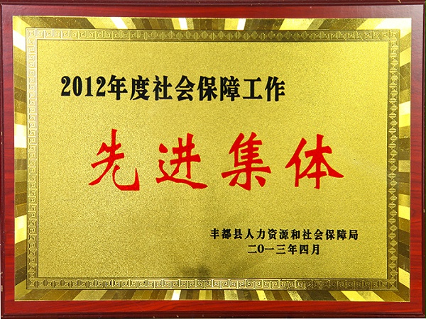 Advanced collective certificate